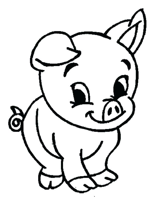 600x768 Baby Pig Drawing Baby Pig Coloring Pages Draw A Cartoon Pig