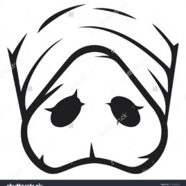 268x268 Pig Nose Coloring