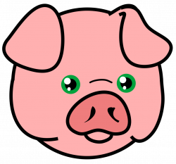 250x233 Pork Drawing Nose, Picture