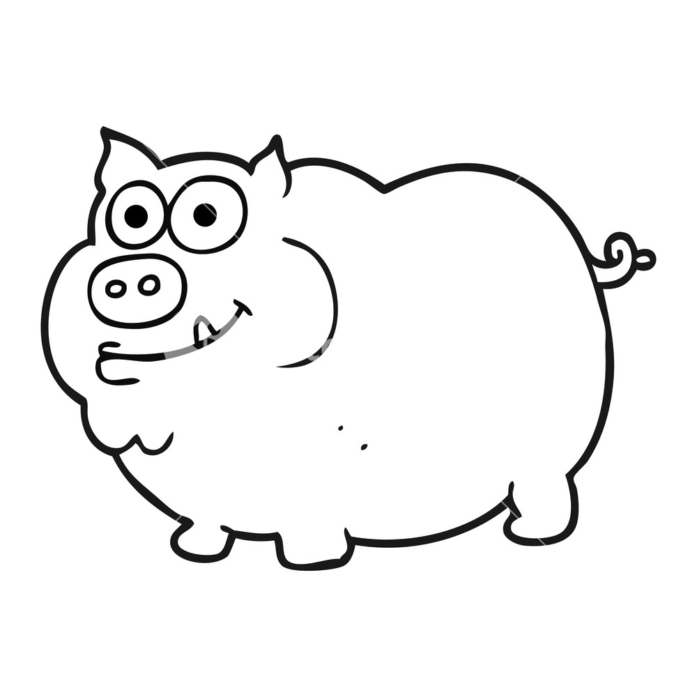 1000x1000 Freehand Drawn Black And White Cartoon Pig Royalty Free Stock