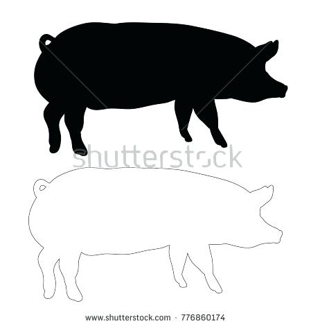 449x470 Free Fat Pig Pictures Download Clip Art On Guinea Outline Drawing