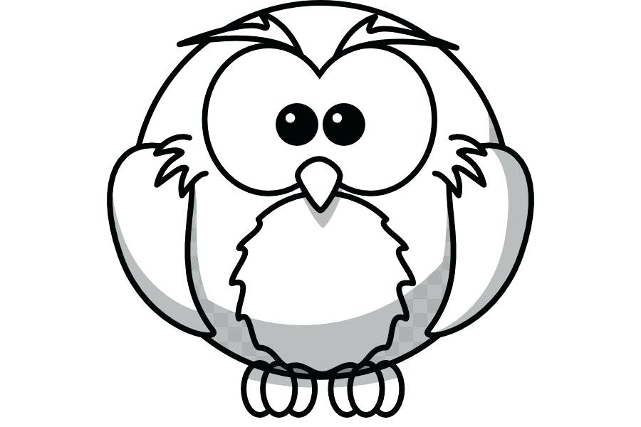 900x600 Owl Outline Drawing Pig Owl Outline Drawing Pictures
