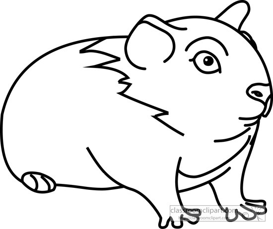 550x462 Pig Clipart Outline