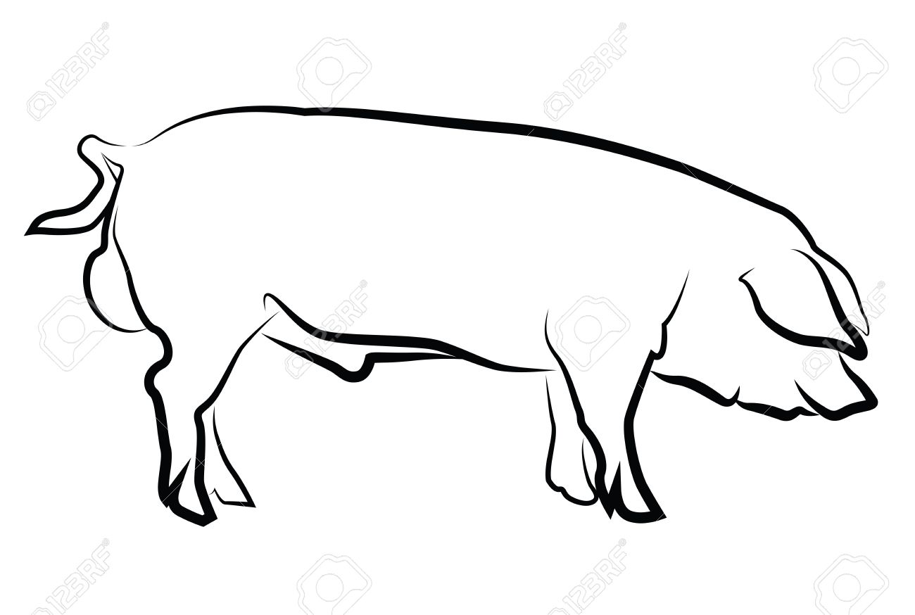 1300x874 Pig Silhouette Outline Pig Silhouette Isolated On White