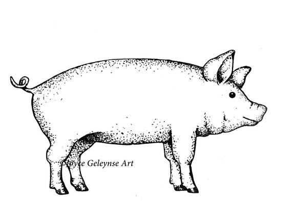 570x430 Digital Stamp Pig Farm Animal Pig Outline Art Commercial Etsy