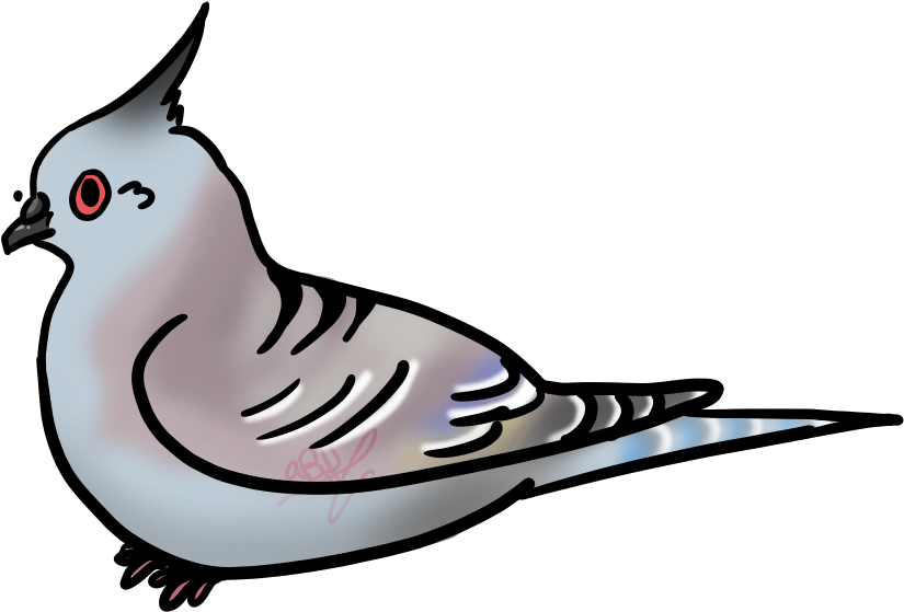 825x559 Download Pigeon Art