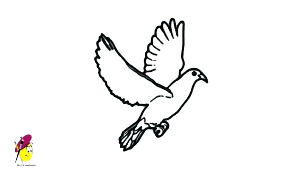 1024x576 How To Draw An Easy Dove Draw A Pigeon Draw Easy Dove