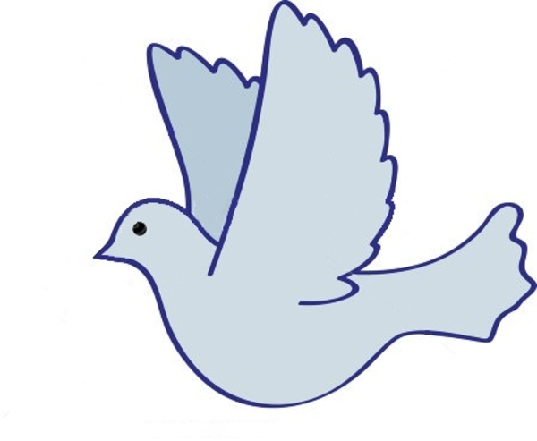 600x493 How To Draw Pigeons Flying