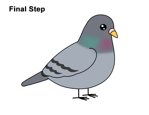 500x386 How To Draw A Pigeon