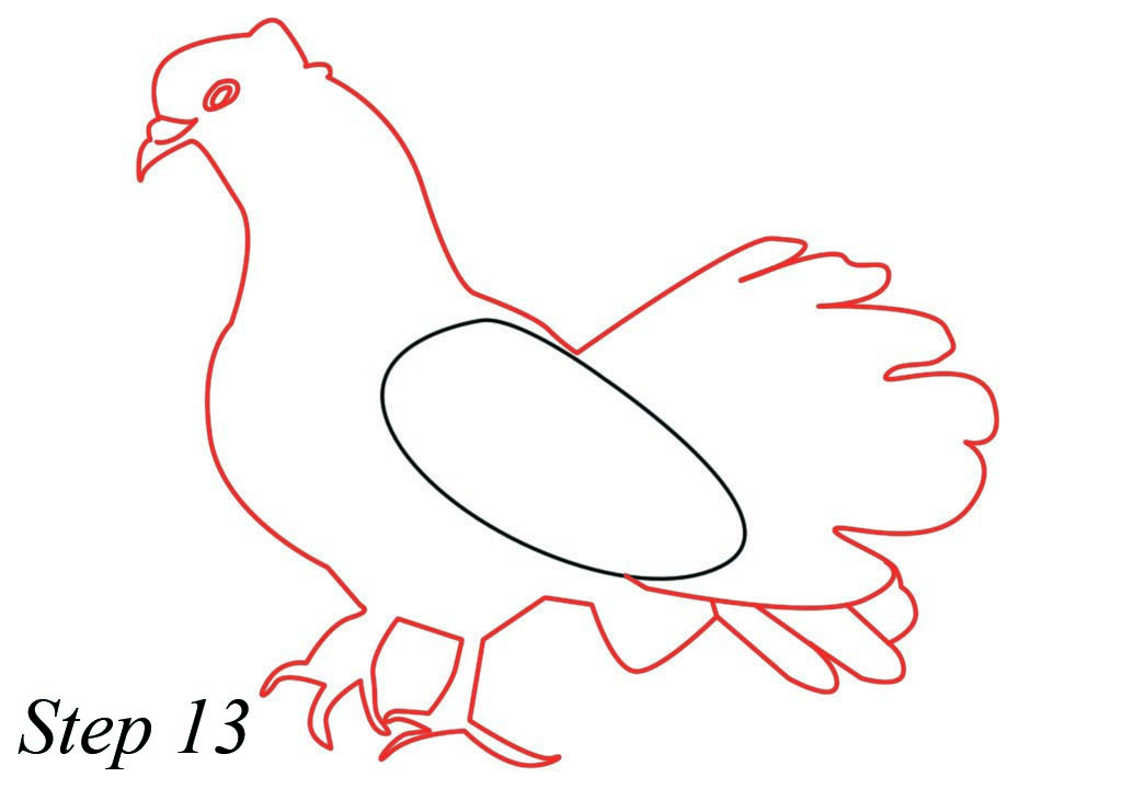 1024x720 How To Draw A Pigeon Drawing
