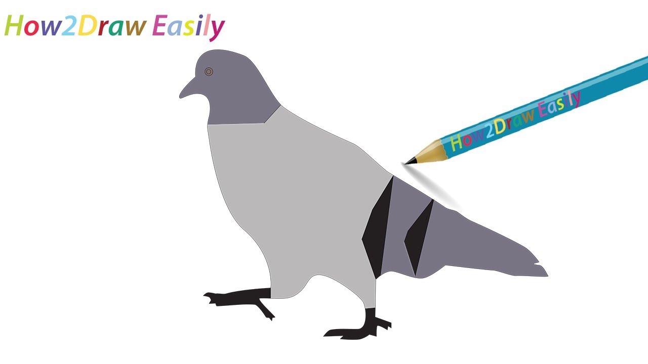 1280x720 How To Draw A Pigeon Step