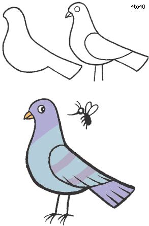 293x444 pigeon drawing drawings in drawings, pigeon, art