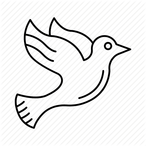 512x512 Bird, Flight, Fly, Pigeon, Sparrow Icon