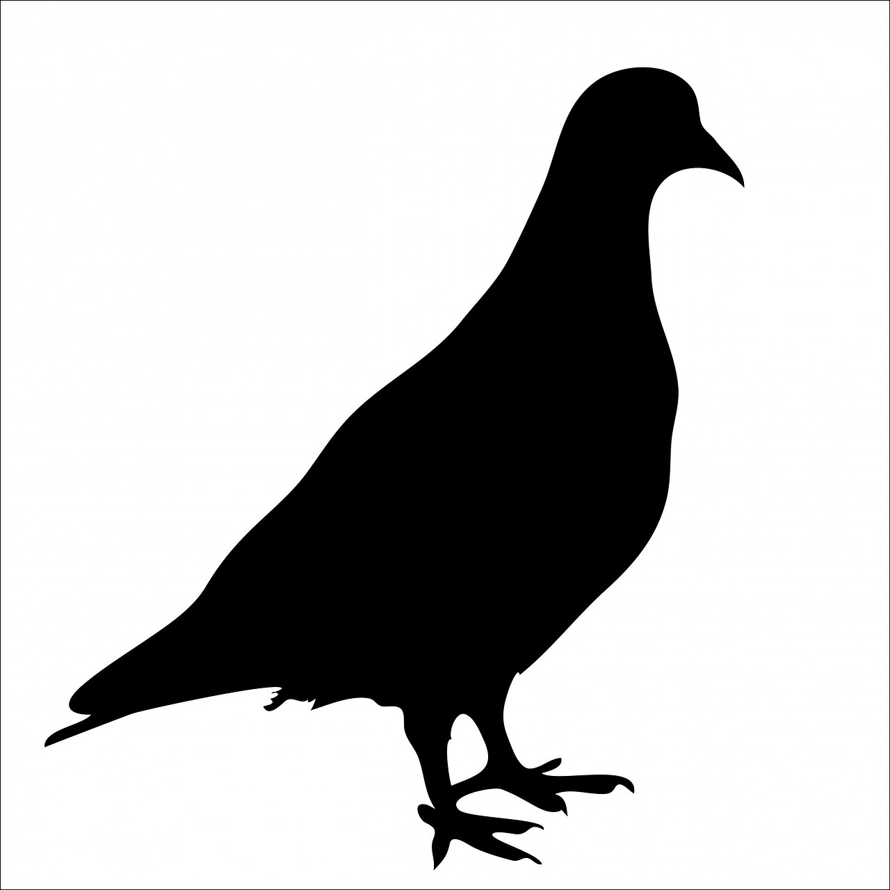 1280x1280 Bird, Pigeon, Black, Silhouette Animal, Art