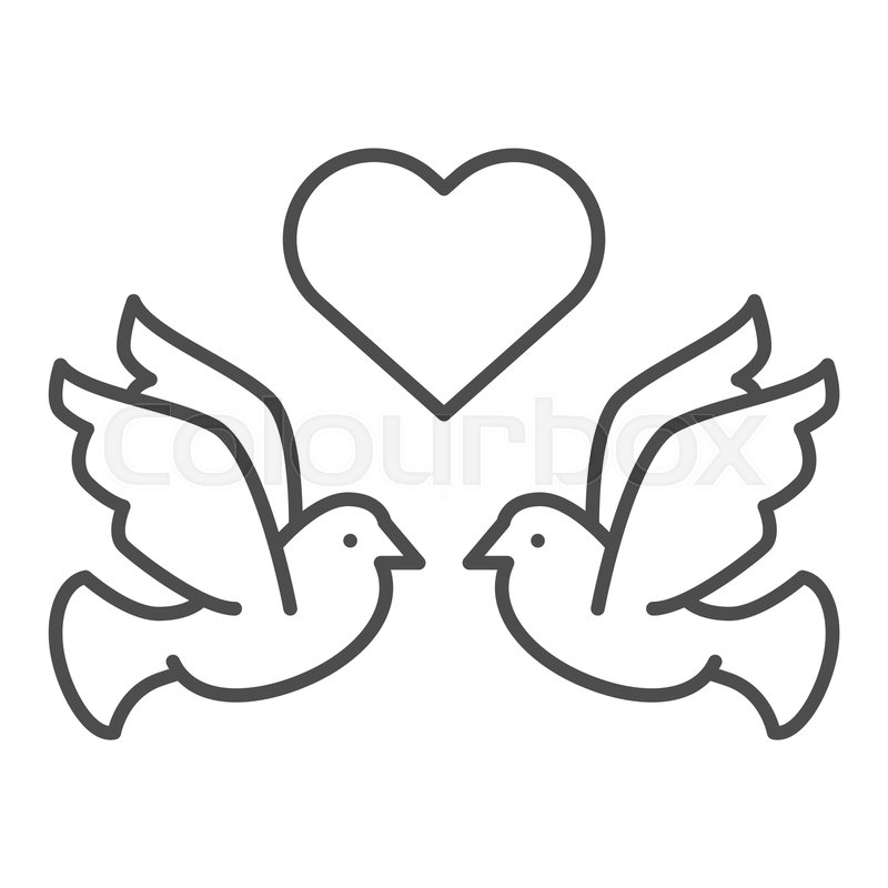 800x800 Flying Pigeons With Heart Thin Line Stock Vector Colourbox