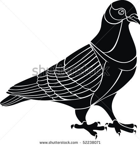 450x469 Pigeon Vector