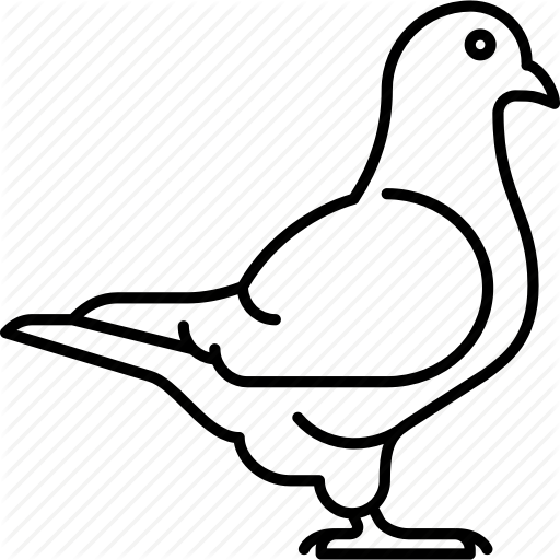 512x512 Animal, Bird, Fauna, Fly, Flying Rat, Pigeon Icon