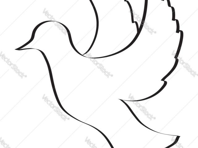 640x480 Free Drawn Pigeon, Download Free Clip Art