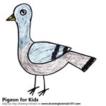 150x150 Learn How To Draw A Pigeon For Kids