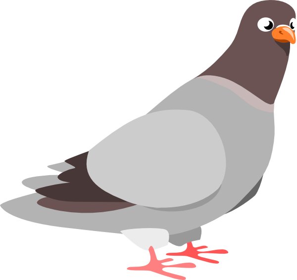 600x566 Pigeon Cartoon Transparent Png Clipart Free Download