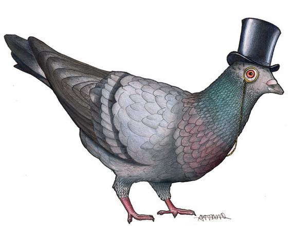 570x465 Pigeon In A Top Hat Print Etsy