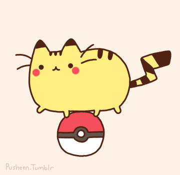 360x350 Gif Kitty Cat Lol Funny Pikachu Pokemon Haha Cute Anime Kawaii