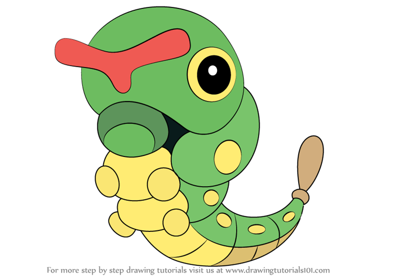 800x565 Learn How To Draw Caterpie From Pokemon