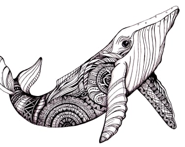 377x300 Draw Animal Tattoo Design