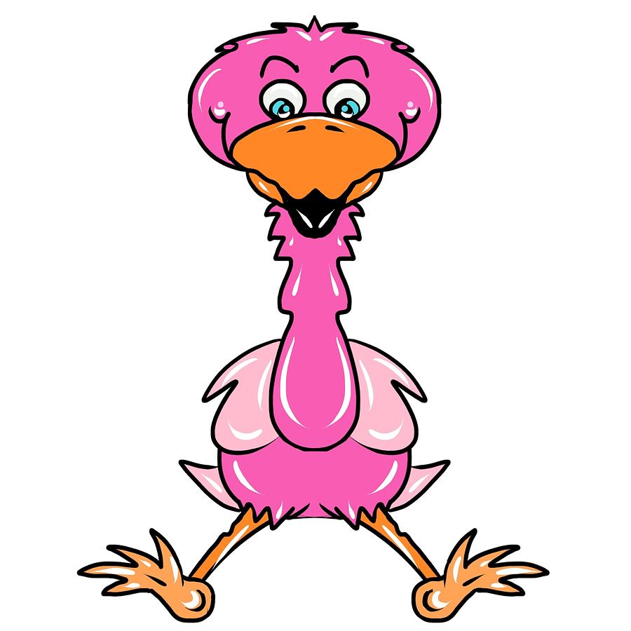 900x900 Flamingo Character Bird Drawing
