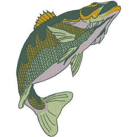 463x463 Walleye Pike