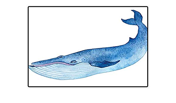 600x350 Water Repellent Rugs Water Colored Hand Drawing Giant