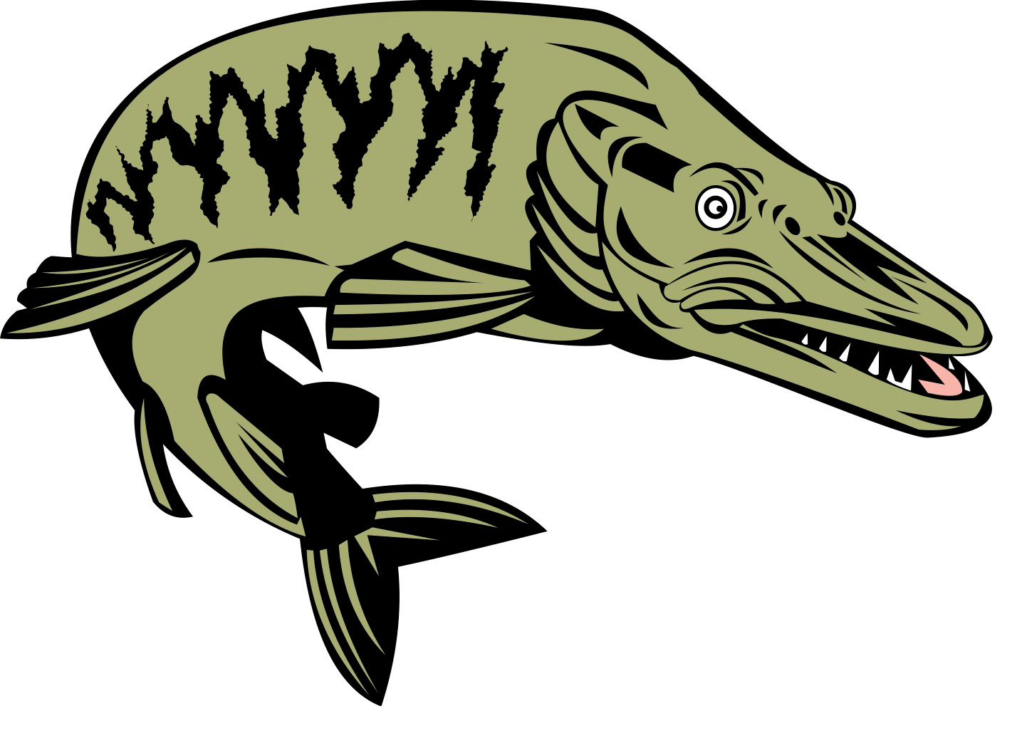 1428x1029 how to fish for tiger muskie with easy steps