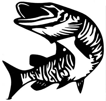 346x330 northern pike clipart muskie fish