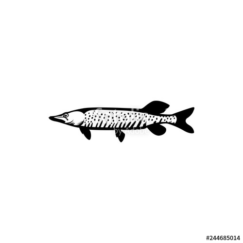 500x500 Pike Fish Vector Stock Image And Royalty Free Vector