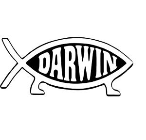 300x289 Darwin Fish Sticker Fishing Tackle Box Carp Pike Coarse Angling