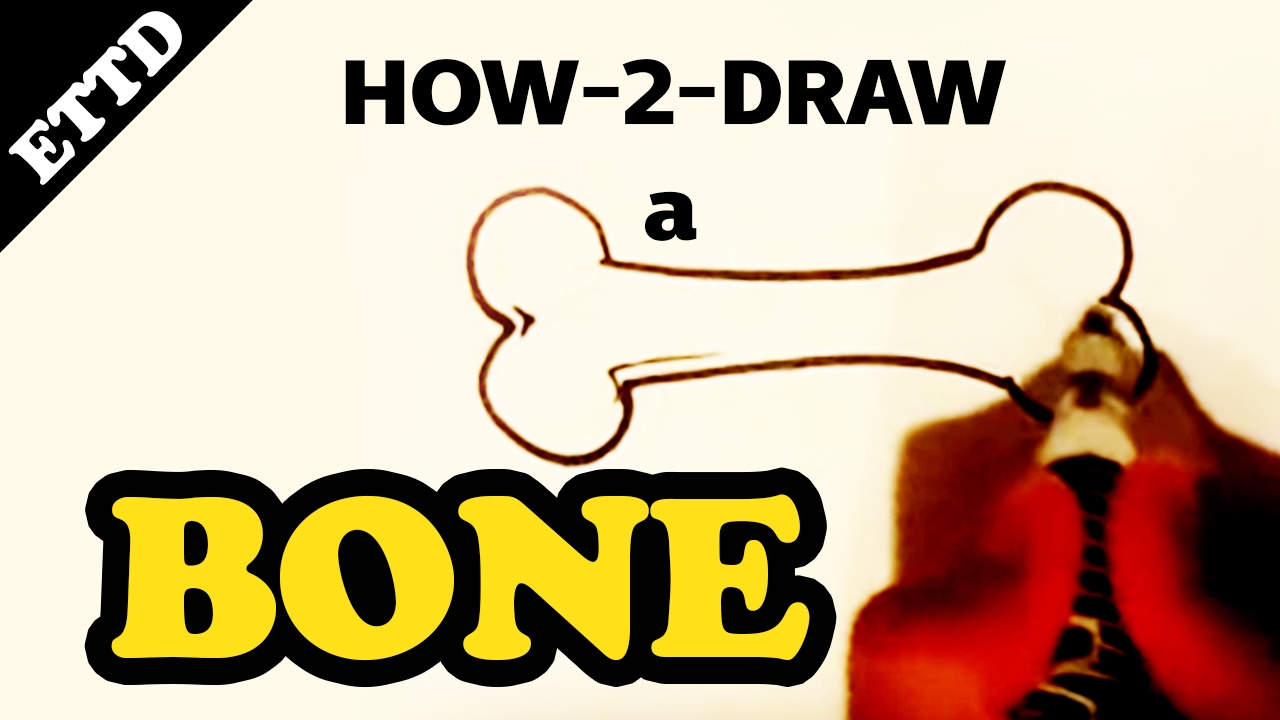 1280x720 How To Draw A Bone