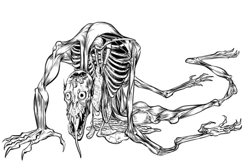 500x334 Pile Of Bones Drawing