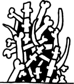 150x171 A Pile Of Bones
