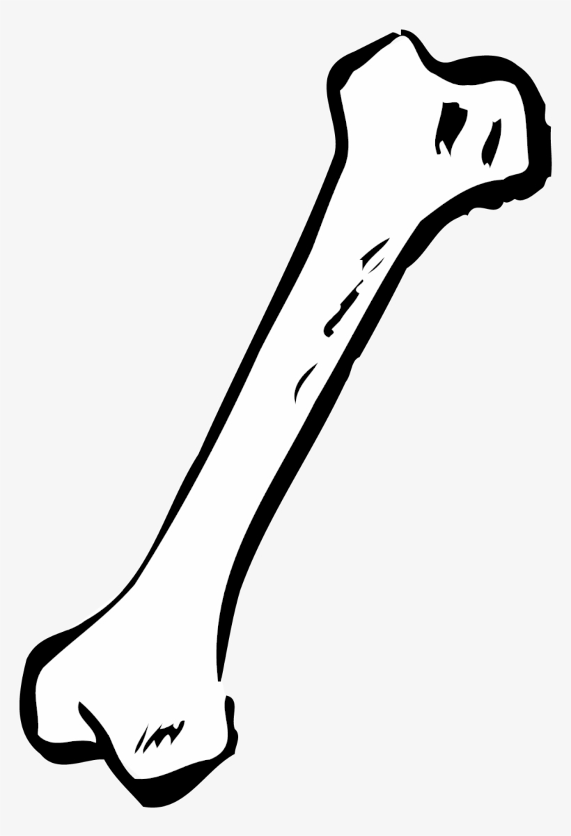 820x1200 Bone Png Preto