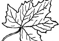200x140 Leaf Clipart Black And White Pile Of Leaves Clipart Black