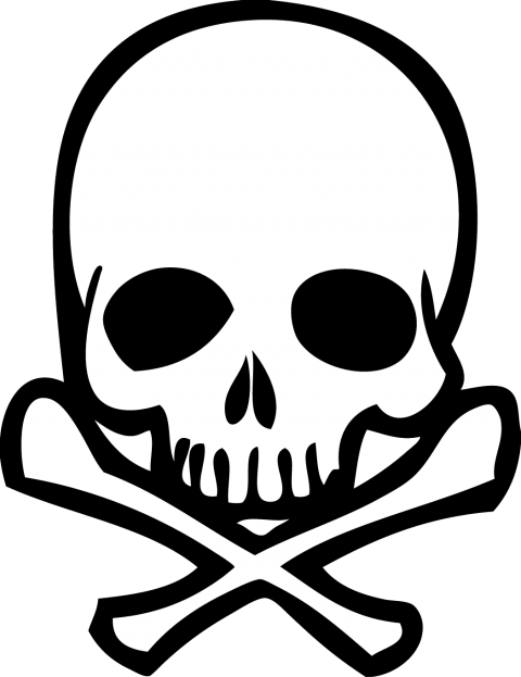 480x623 Skulls Download Free Clipart With A Transparent Background