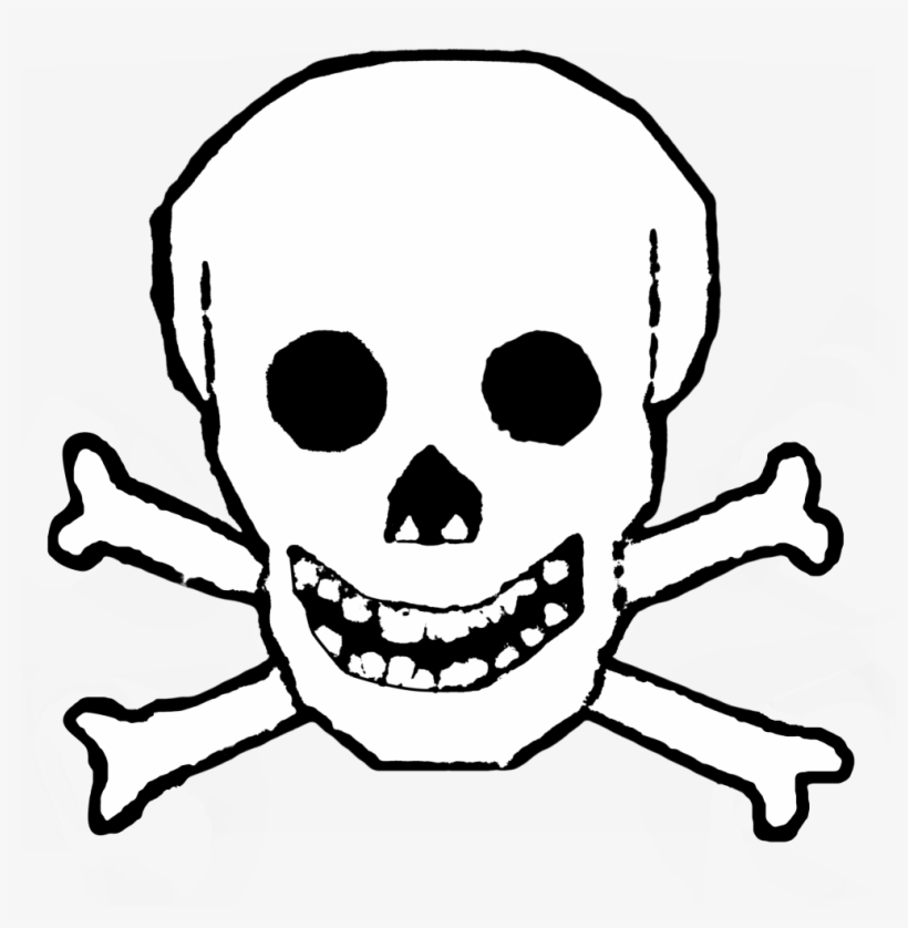 820x838 Snakeskin Drawing Skull