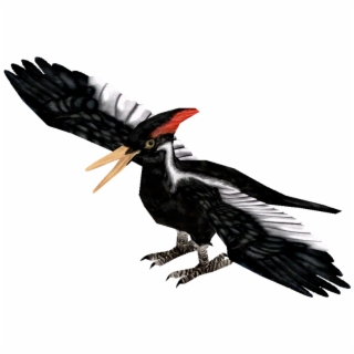 320x320 Hd Malak Wearing Julian's Plague Mask, Discuss