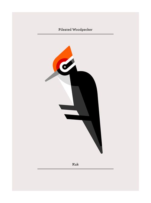 500x670 Pileated Woodpecker Steal This Art Bird Artwork, Bird