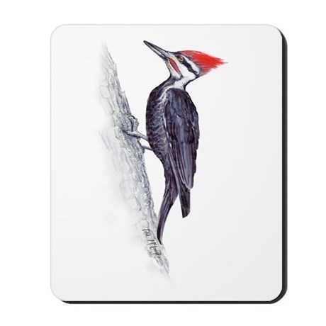 460x460 Woodpecker Cases Covers
