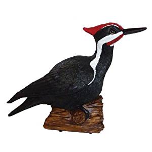 300x300 Michael Carr Designs Pileated Woodpecker