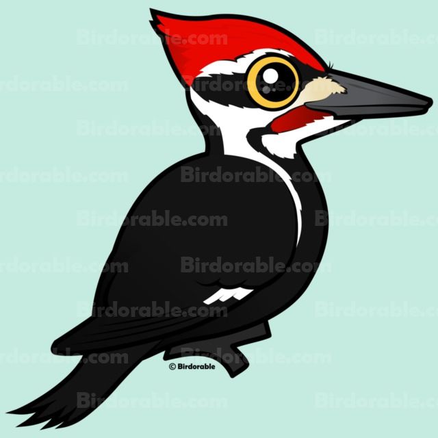 640x640 Cute Pileated Woodpecker Inch Wooden Coaster