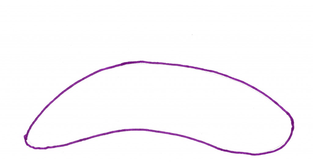 1024x537 How To Draw A Pillbug