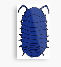 210x230 Pill Bug Drawing Metal Prints Redbubble