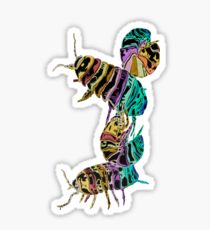 210x230 Pill Bug Drawing Stickers Redbubble